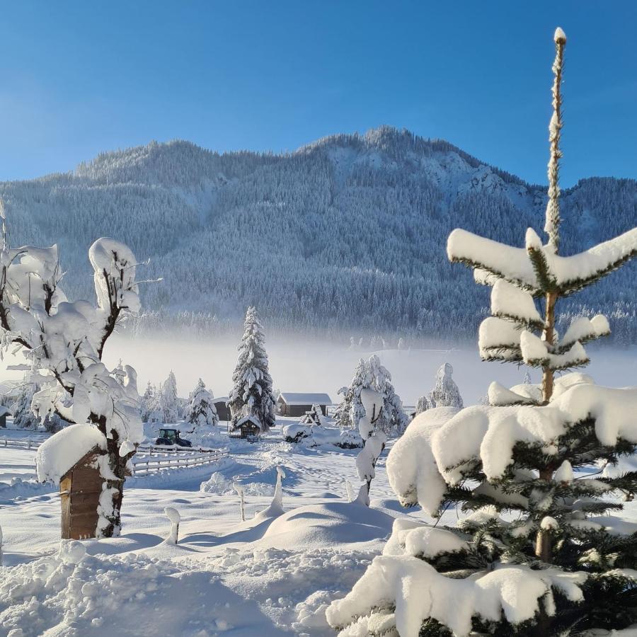 Hotel Winkler-Tuschnig Weissensee Dış mekan fotoğraf